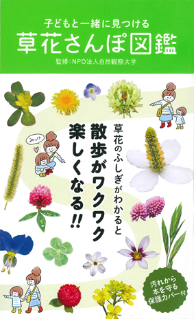 書影